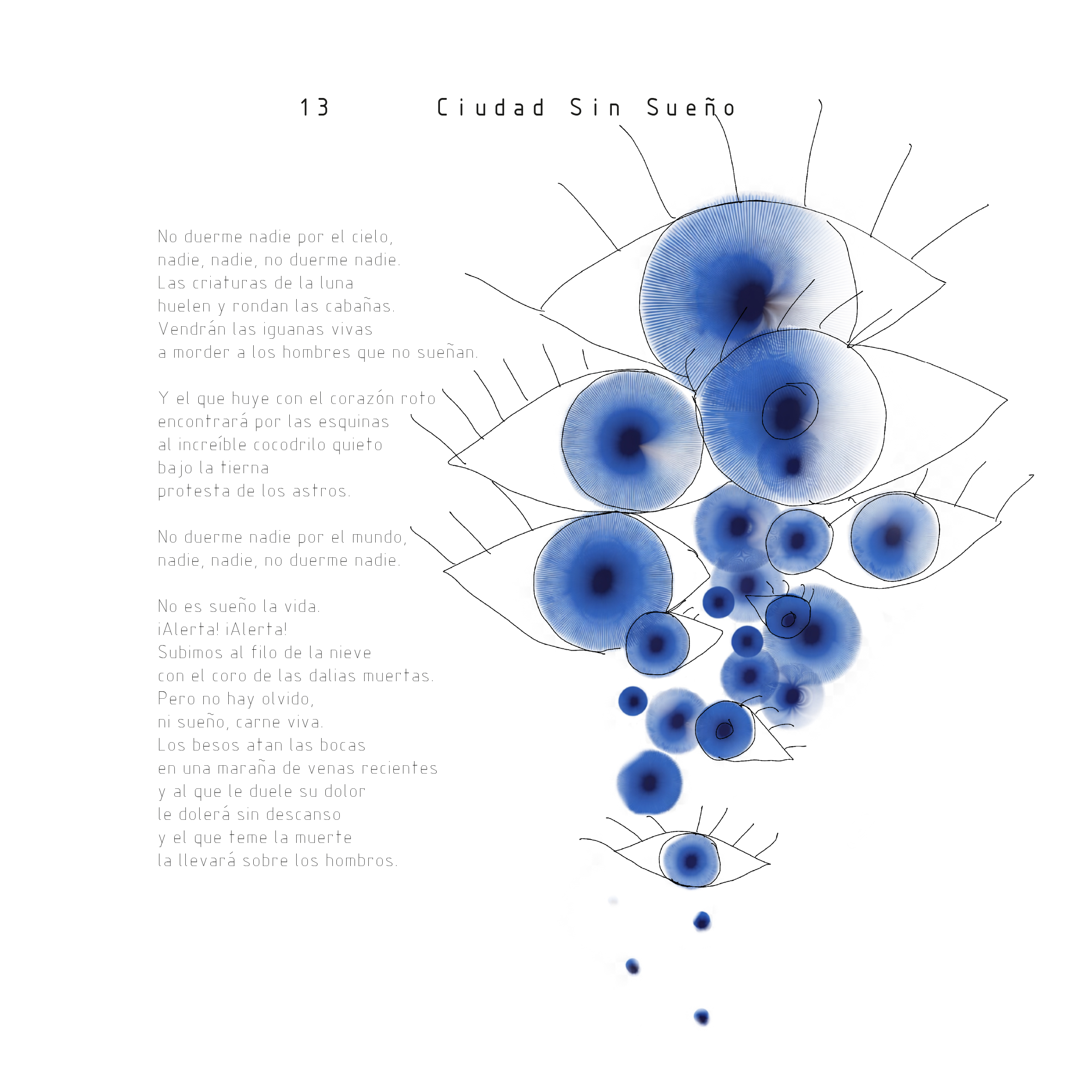 LIBRILLO-15